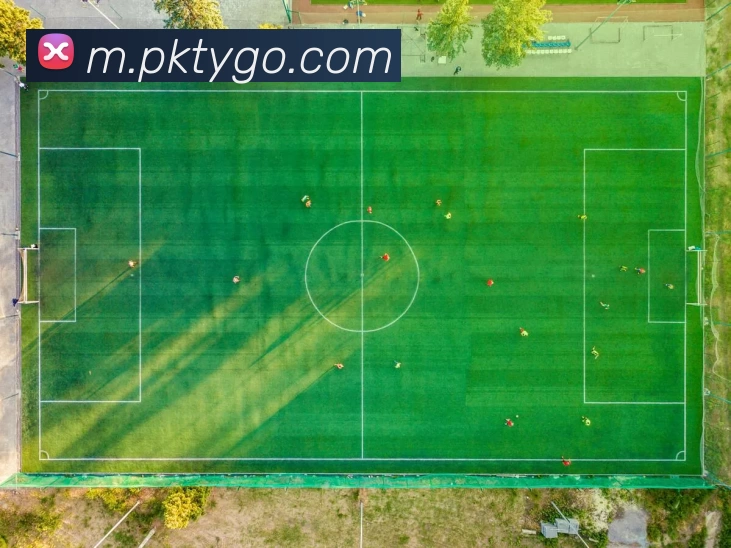 朋克体育平台生态图