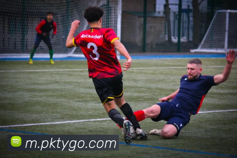 朋克体育全站App